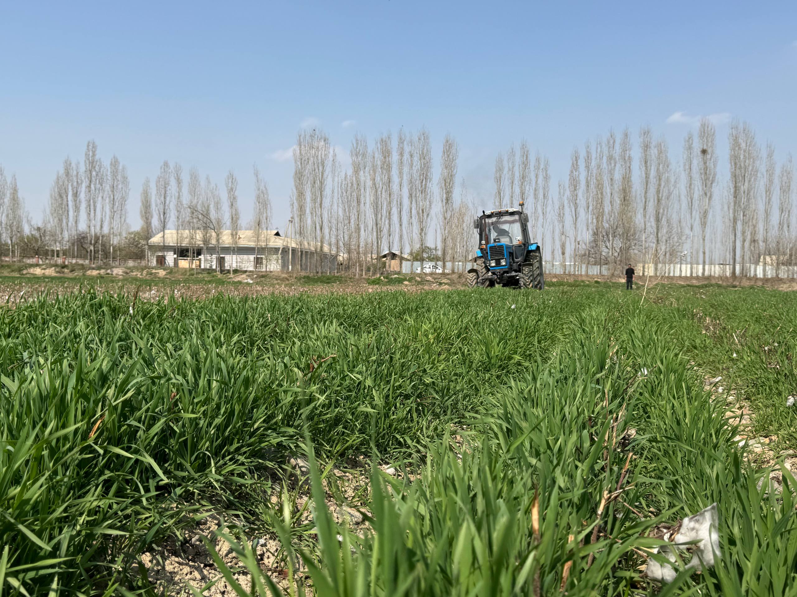 photo 2026 03 22 18 39 55