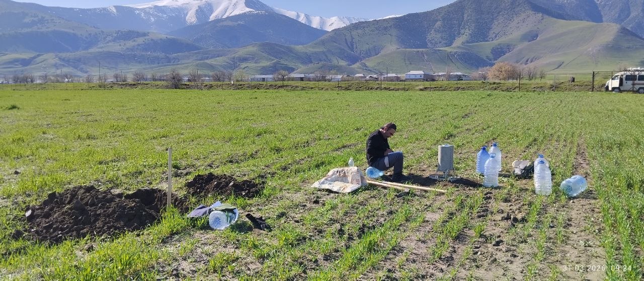 photo 2026 04 01 15 52 01