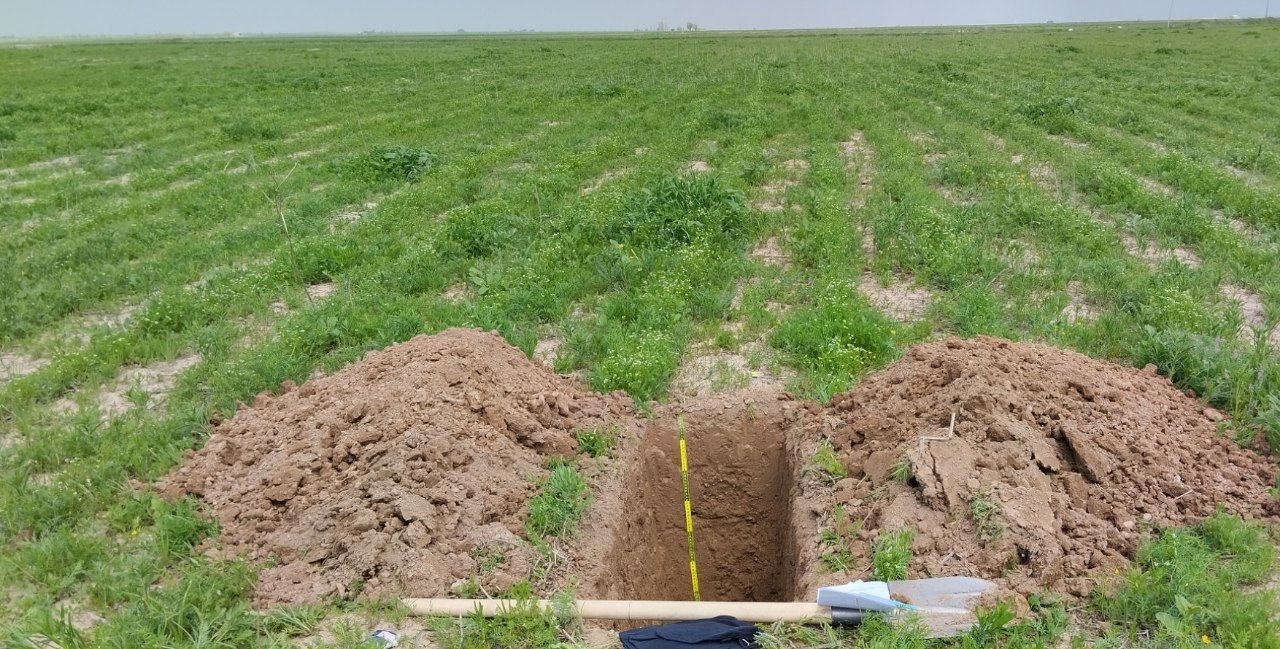 photo 2026 04 06 14 16 12