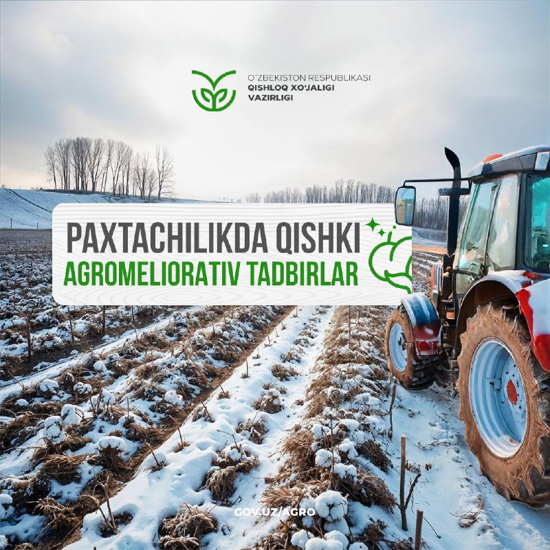 Paxtachilikda qishki agromeliorativ tadbirlar