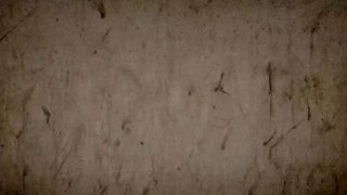 Hududlarda ekologik barqarorlikga erishish yoʻlida barcha kuch va imkoniyatlar ishga solinmoqda