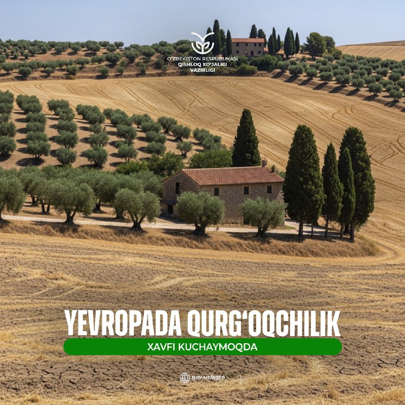 Yevropada qurgʻoqchilik xavfi kuchaymoqda