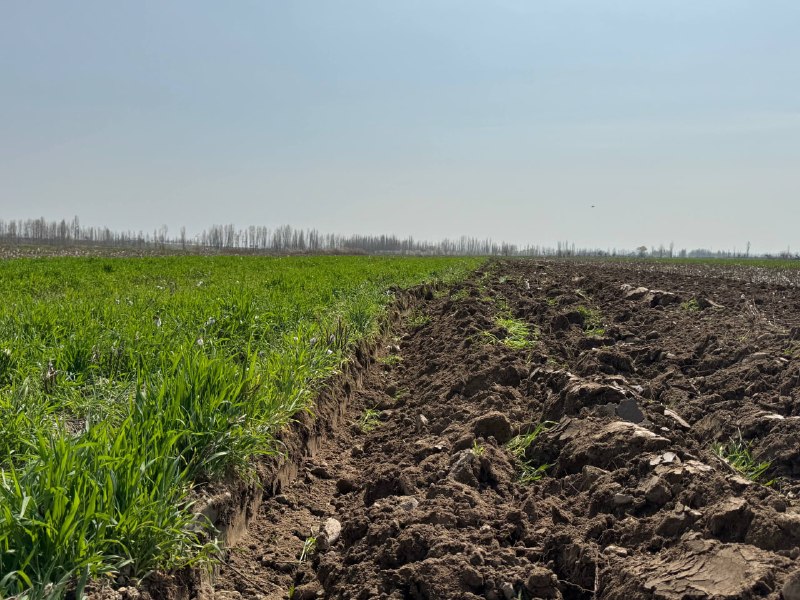 Tuproqshunoslik va agrokimyoviy tadqiqotlar institutining bir guruh olimlari tomonidan Innovatsion…