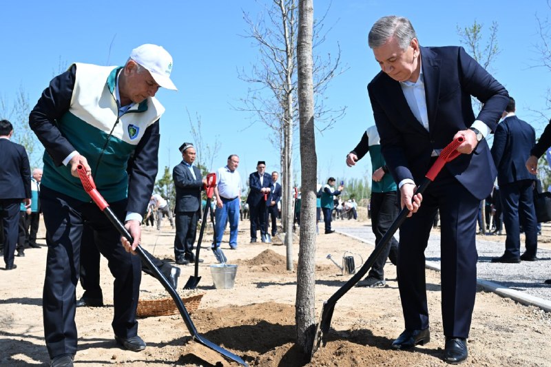 Prezident Shavkat Mirziyoyev “Yashil makon” umummilliy loyihasi doirasida koʻchat ekish tadbirida ishtirok…