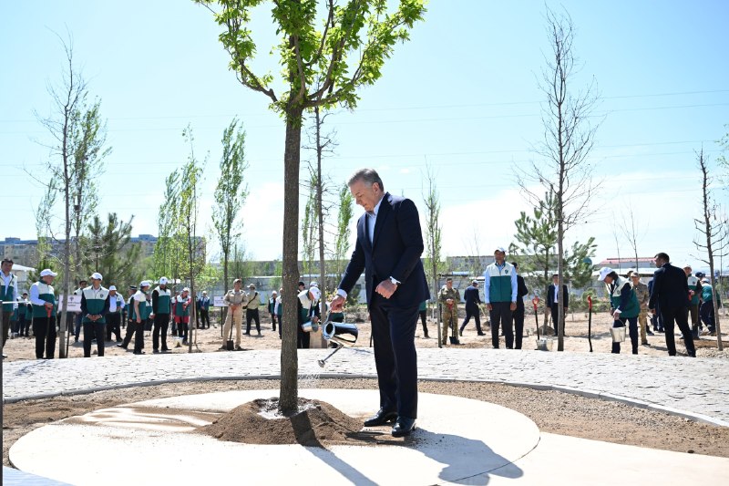 Prezident Shavkat Mirziyoyev “Yashil makon” umummilliy loyihasi doirasida koʻchat ekish tadbirida ishtirok…