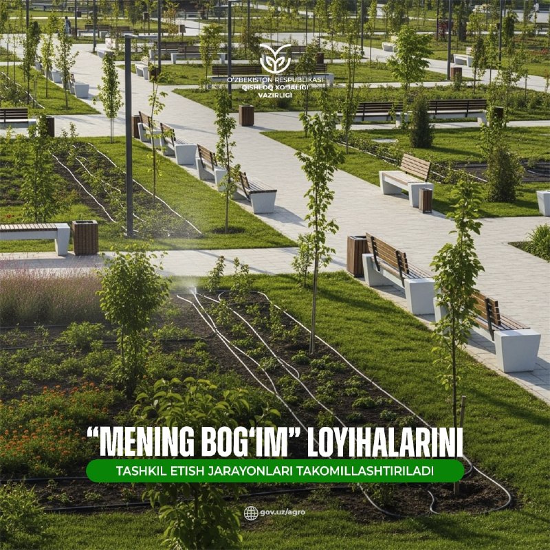 “Mening bogʻim” loyihalarini tashkil etish jarayonlari takomillashtiriladi
