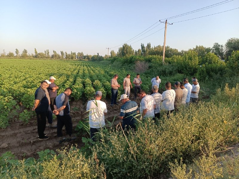 &laquo;Dolzarb bir oy&raquo; doirasida dala seminarlari davom etmoqda