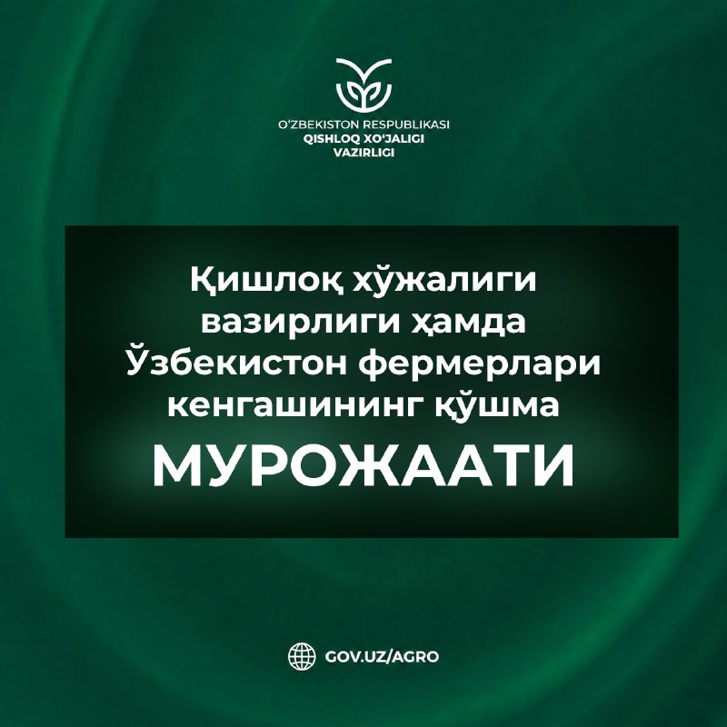 Paxtaga qoʻshimcha ishlov bering va hosilingizga hosil qoʻshing!