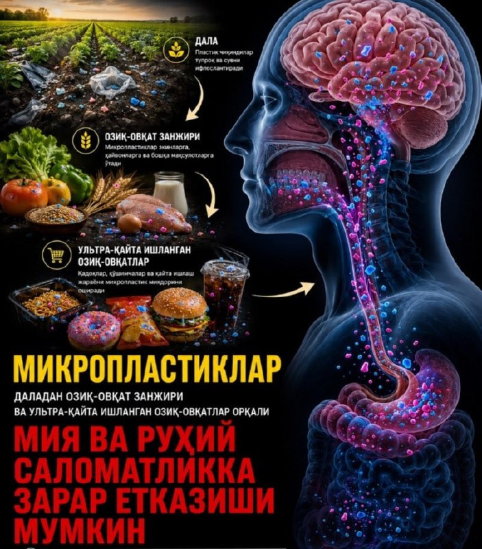 Dalada qolgan plastik qayoqqa ketadi?