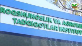 Tuproqshunoslik va agrokimyoviy tadqiqotlar instituti faoliyatlaridan olingan lavha.