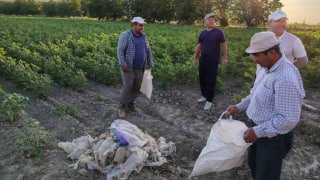 Shu kunlarda tuproqshunos olimlar mamlakatimizning turli hududlarida dala tadqiqotlarini olib bormoqda. Ular…