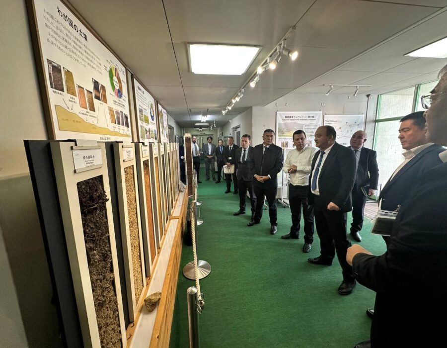 Institut fotogalereyasi
