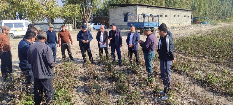 Toza dala – unumdor tuproq va ekologik barqarorlik garovi